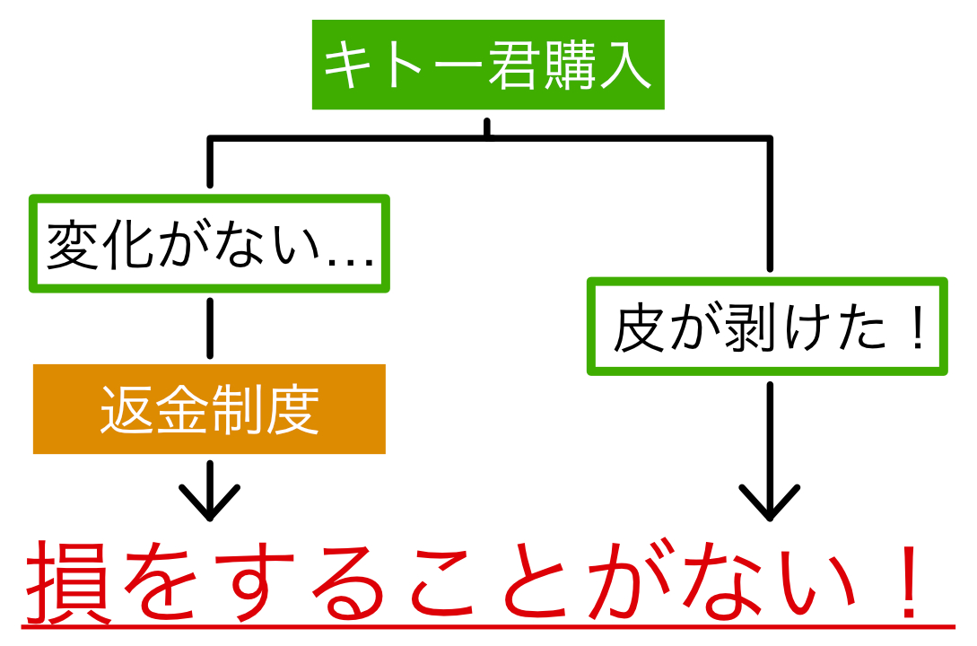 キトー君の説明